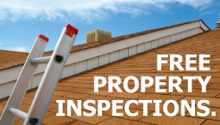 freeInspect